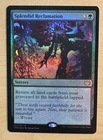 Splendid Reclamation