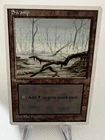 Swamp