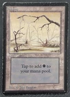 Swamp