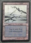 Swamp