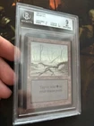 Swamp #