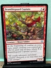 Brambleguard Captain #