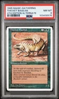Thicket Basilisk