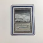 Tundra