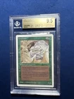 Fungusaur