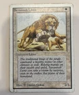 Savannah Lions