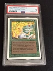 Verduran Enchantress