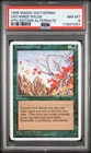 Untamed Wilds