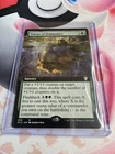 Dawnglade Regent