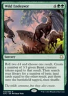 Wild Endeavor