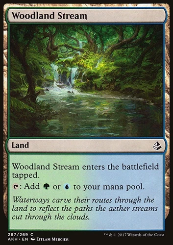 Woodland Stream