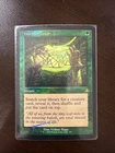 Worldly Tutor