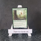 Commander Deck - Enduring Enchantments
