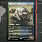 Murkfiend Liege