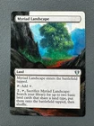 Myriad Landscape