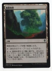 Myriad Landscape