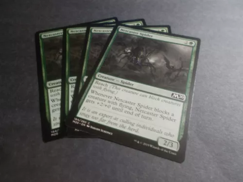 Netcaster Spider