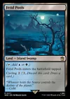 Fetid Pools #