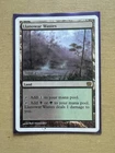 Llanowar Wastes