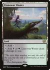 Llanowar Wastes #