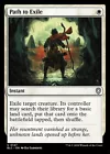 Path to Exile #
