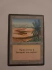 Oasis