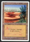 Oasis