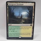 Overgrown Farmland #