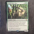 Pathbreaker Ibex
