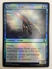 Peregrine Drake