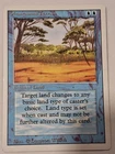 Phantasmal Terrain