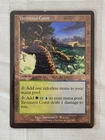 Yavimaya's Embrace