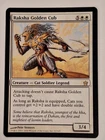 Raksha Golden Cub