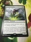 Rootpath Purifier