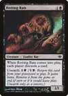 Rotting Rats