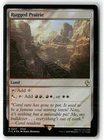 Plains