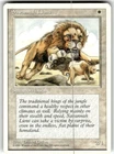 Savannah Lions