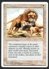 Savannah Lions