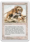 Savannah Lions