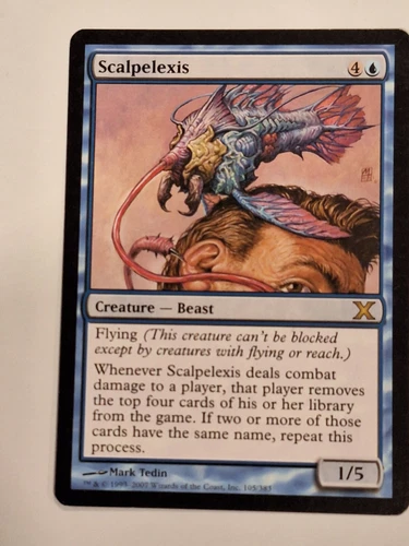 Scalpelexis