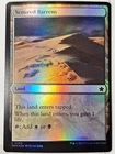 Scoured Barrens
