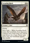 Scouting Hawk #