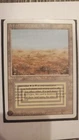 Scrubland