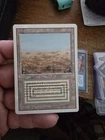 Scrubland
