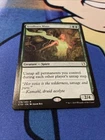 Seedborn Muse