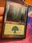 Forest [Foil] #