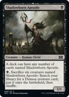 Shadowborn Apostle #