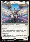 Shalai, Voice of Plenty