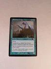 Shimmer Dragon