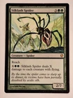 Silklash Spider